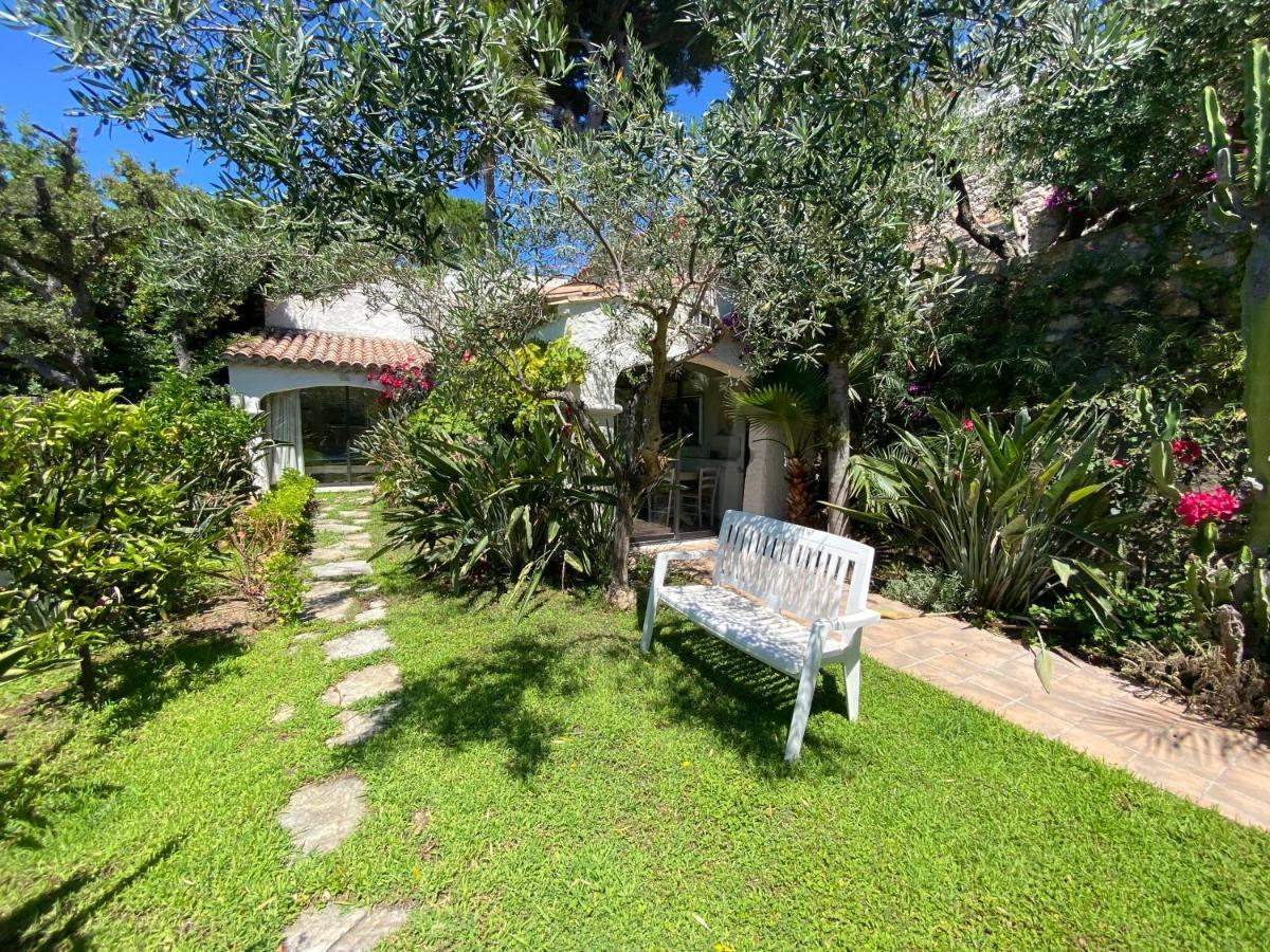 Villa Somptuous Exotic In Cannes