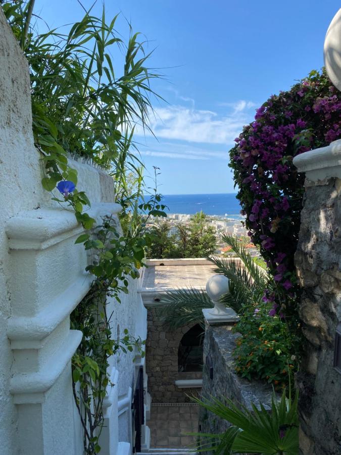 Somptuous Exotic In * Cannes