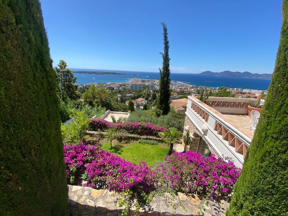 Somptuous Exotic In * Cannes