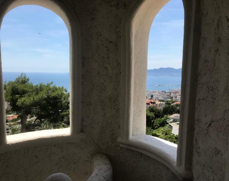 Somptuous Exotic In Cannes