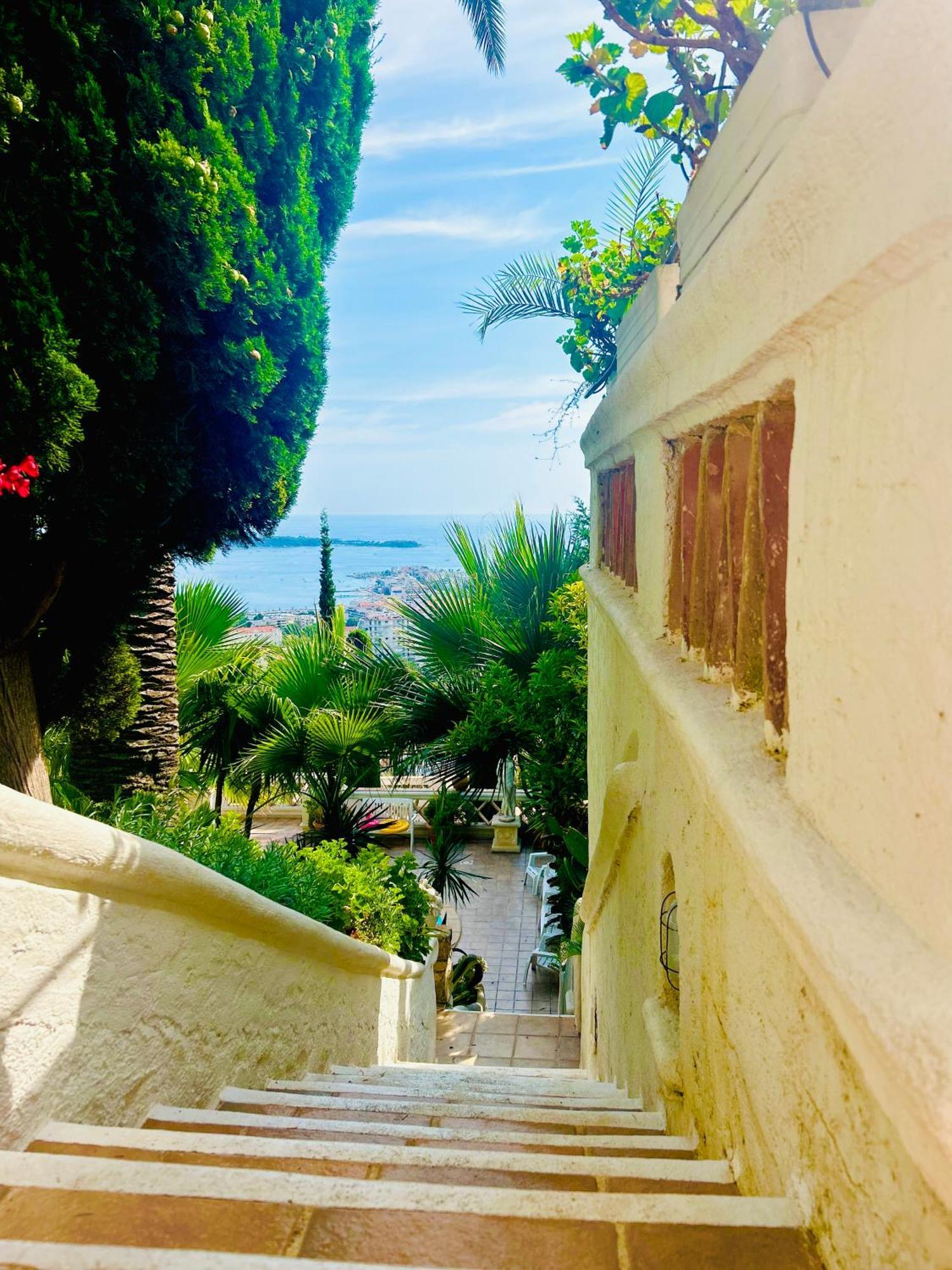 Villa Somptuous Exotic In Cannes